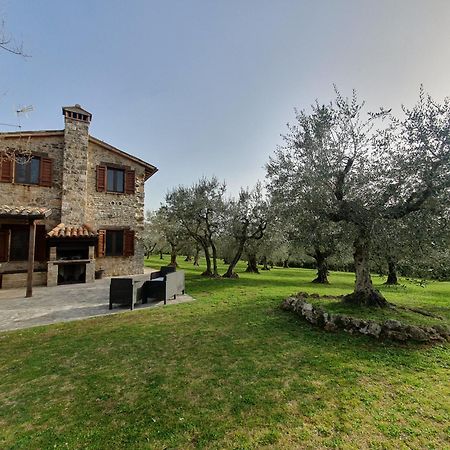 Villa Lisabetta Montecchio  Extérieur photo