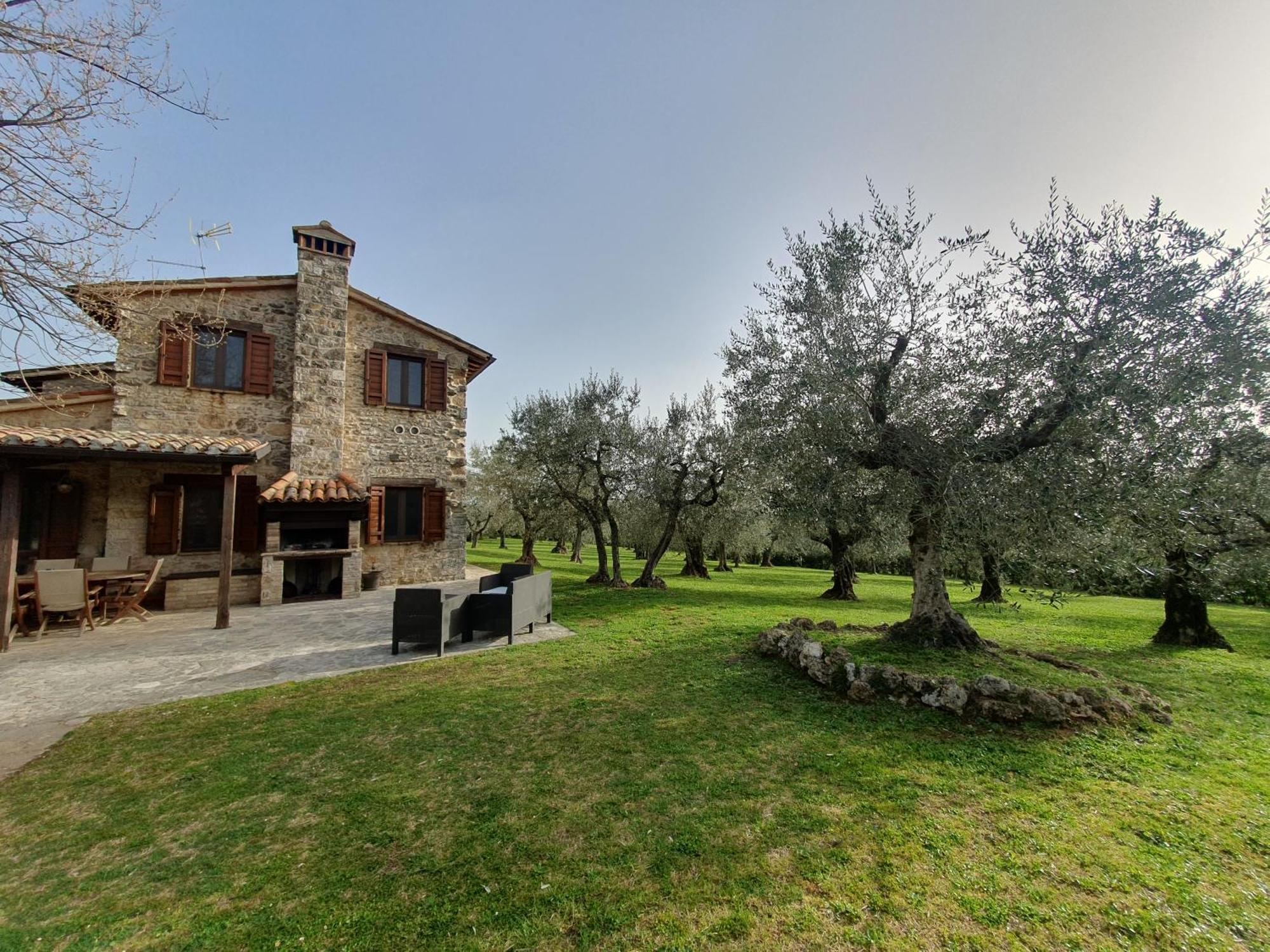 Villa Lisabetta Montecchio  Extérieur photo
